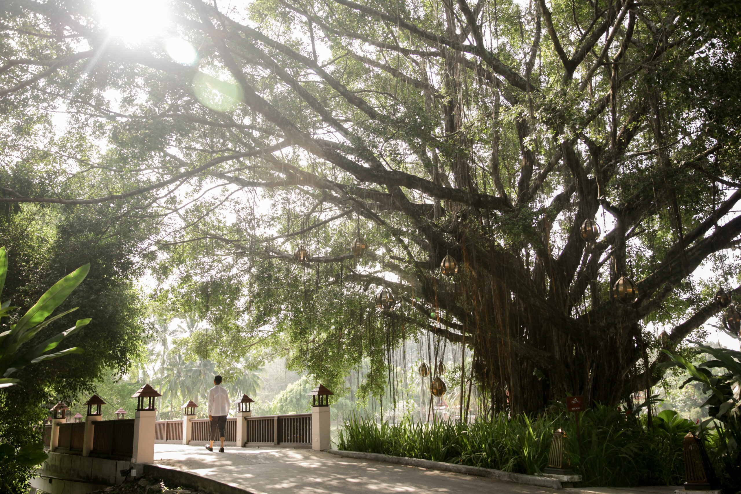 Banyan Tree Phuket Hero Shot