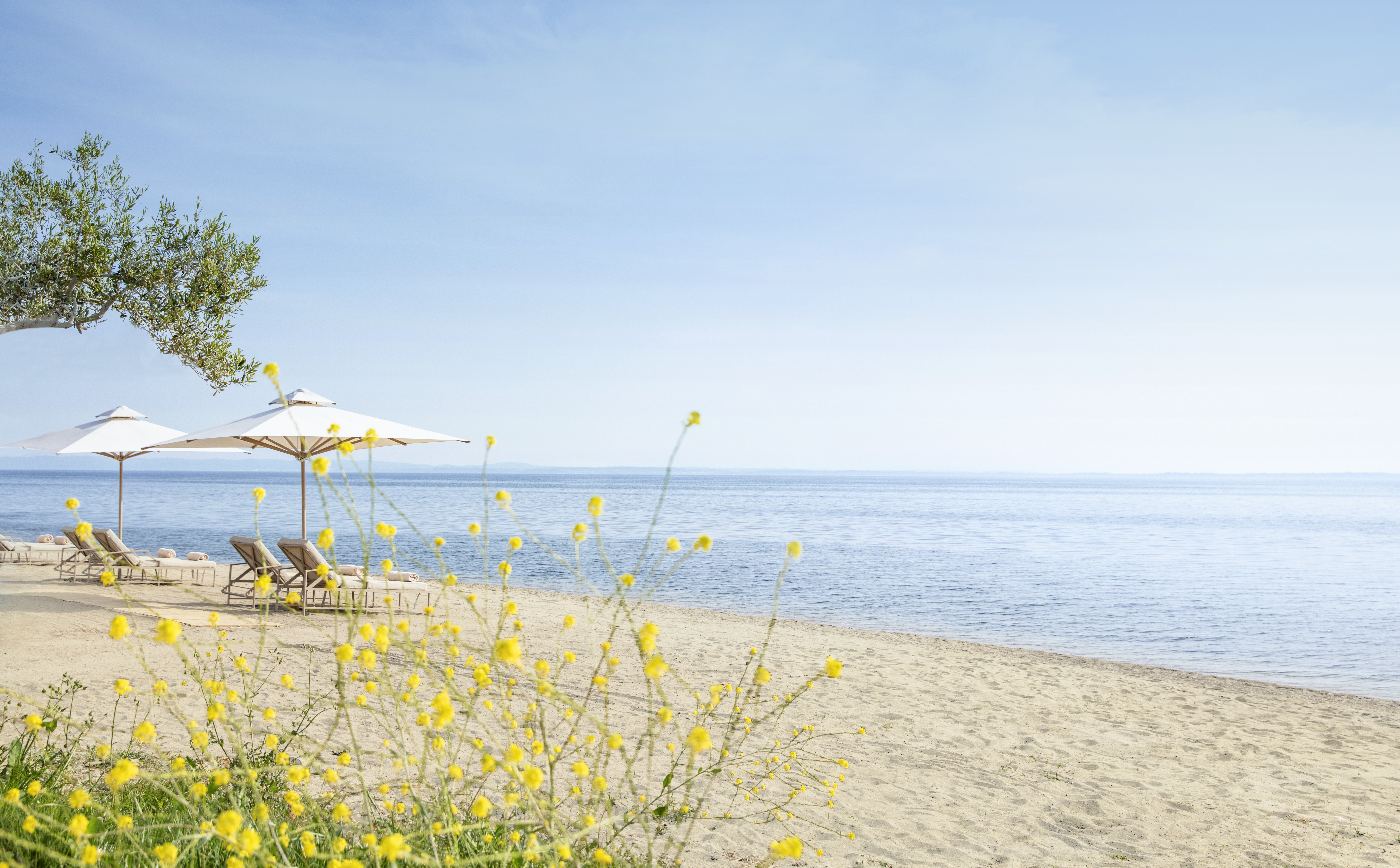 Ikos Olivia _ Beach
