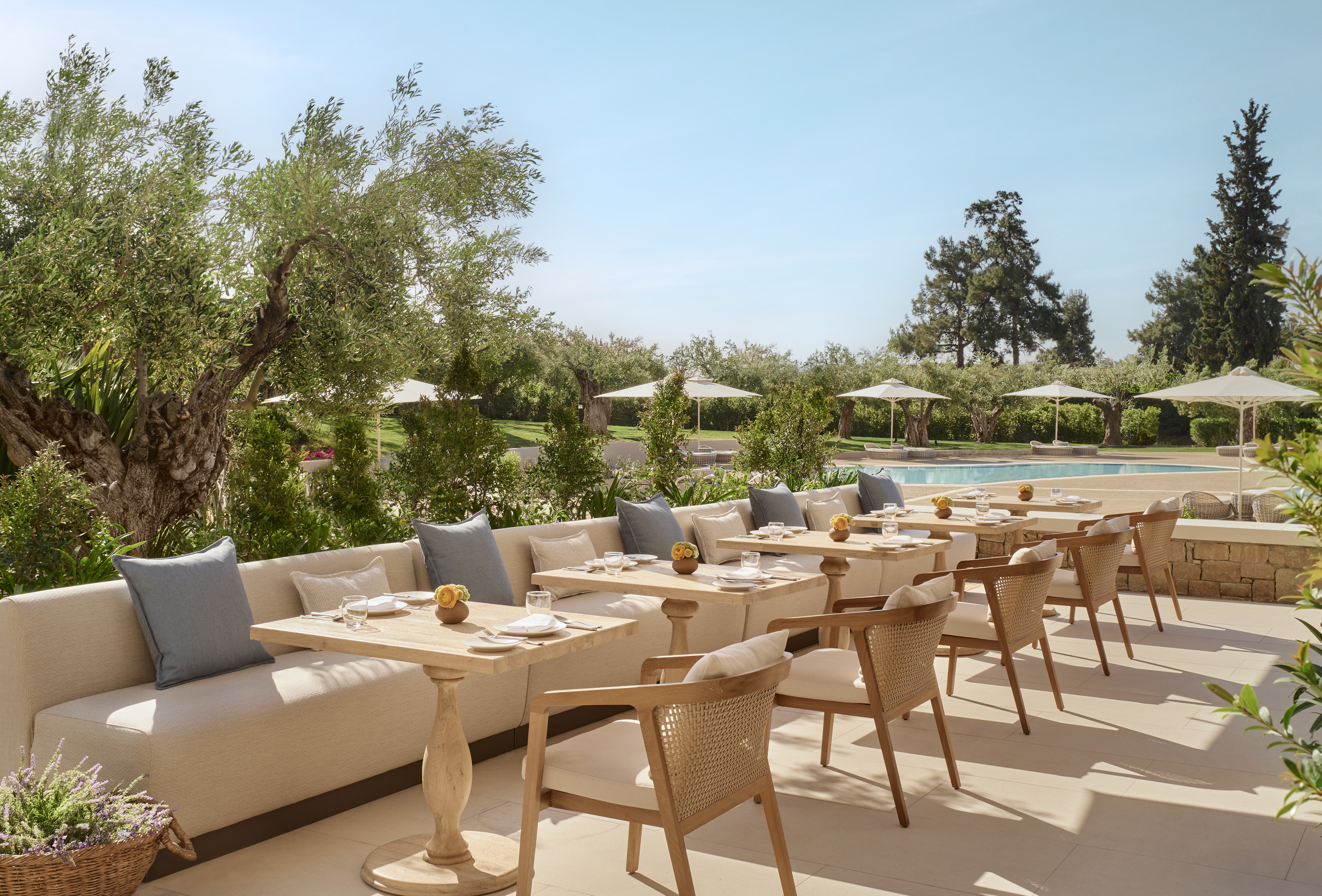 Ikos Olivia _ Provence Restaurant IKOS_Olivia_Provence-0670