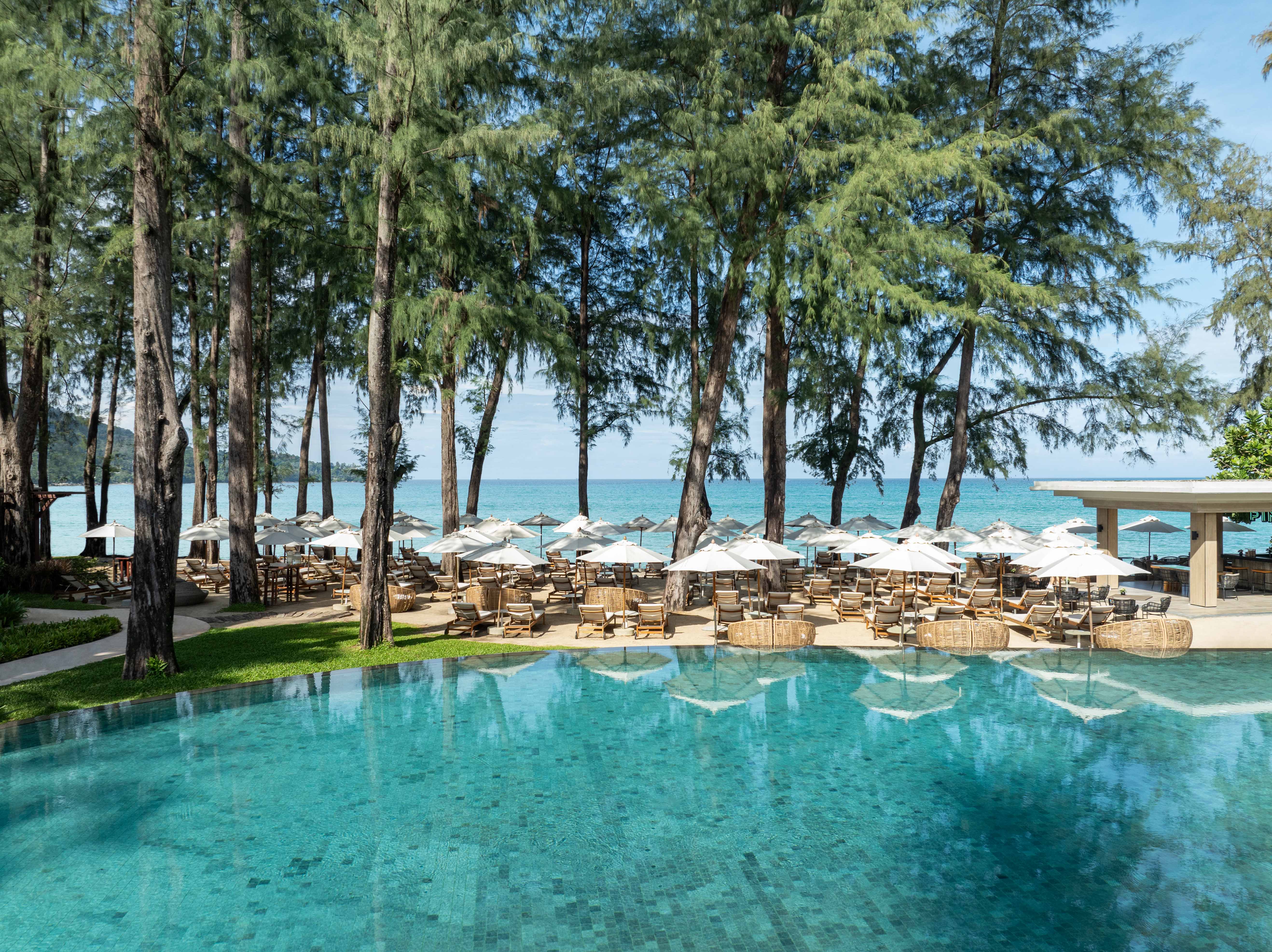 Beach Pool and Pine Trees